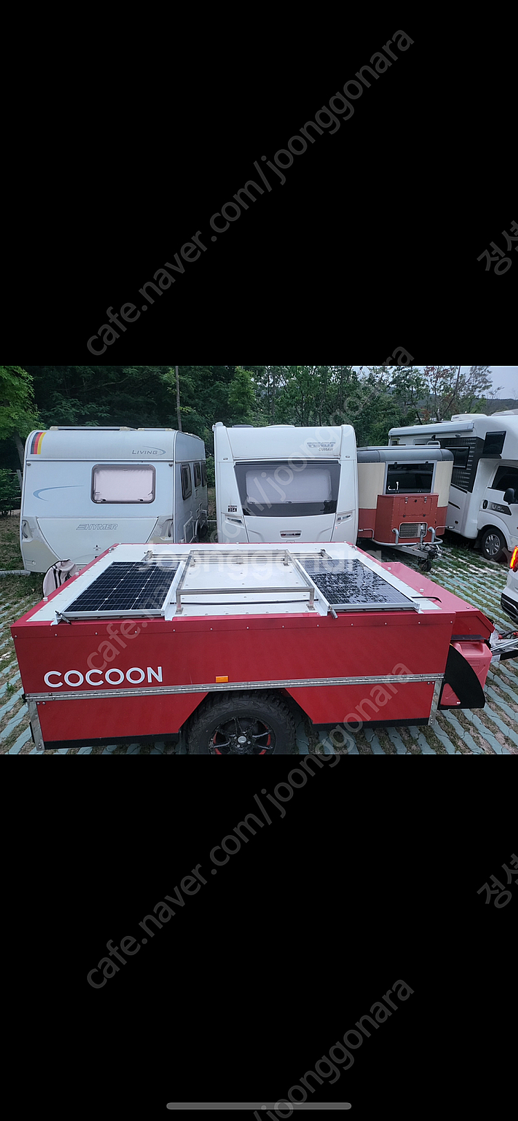 코쿤 cc4 19년식 노지 셋팅 -가격다운---0