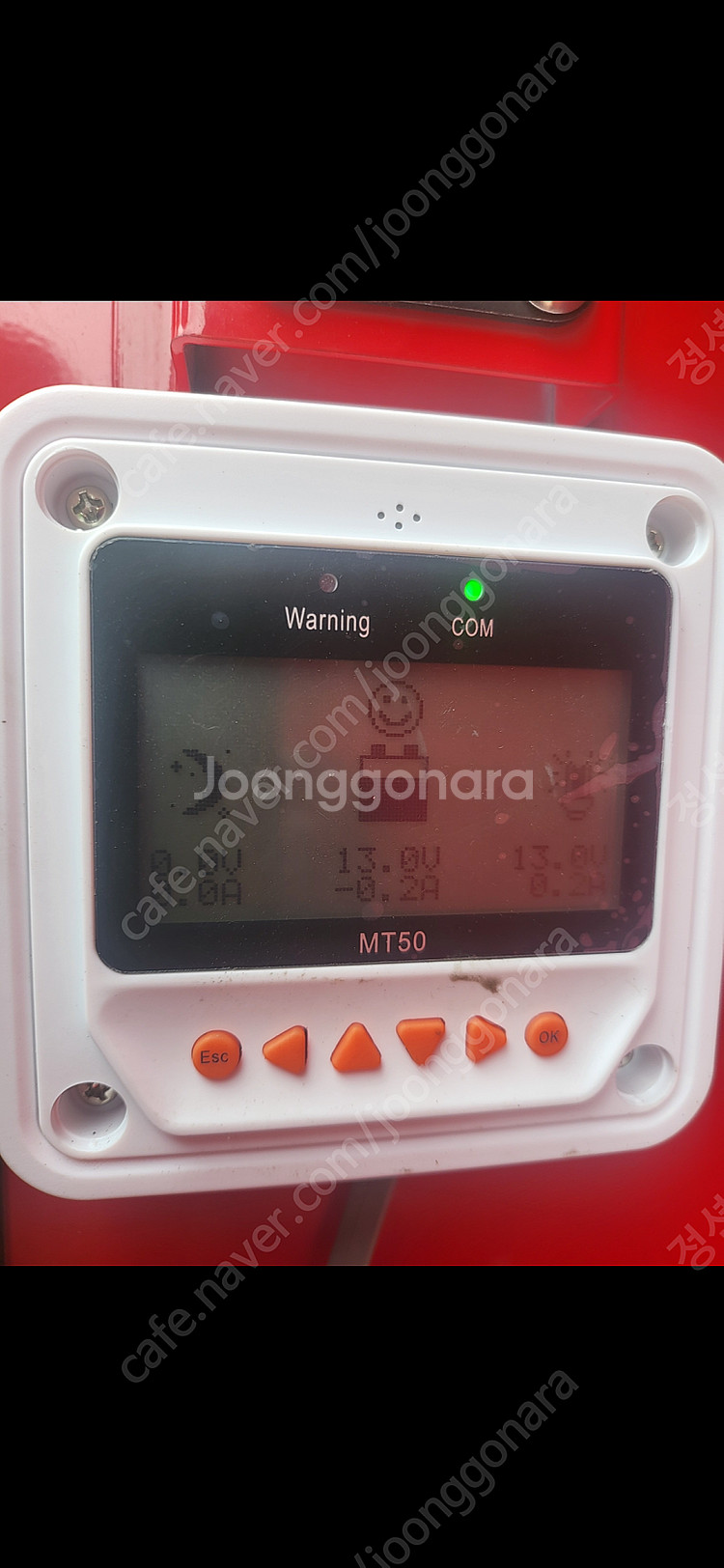 코쿤 cc4 19년식 노지 셋팅 -가격다운---6