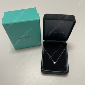 티파니 1.7부 바이더야드 플래티늄 다이아 목걸이/0.17ct