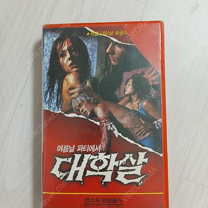 공포영화 에이미 홀든 존스 감독 미쉘 마이클스 로빈 스틸 주연 여름날 파티에서 대학살(The Slumber Party Massacre)(1982) 비디오 테이프