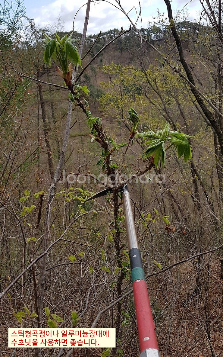 엘리스배낭.얼굴모기장.뱀물림방지각반.카본장대..약초산행...--9