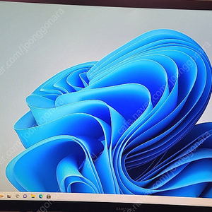삼성슬림컴퓨터windows11과 삼성커브모니터 24인치를 정리합니다