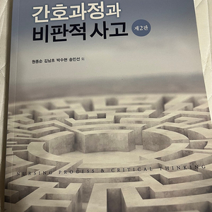 간호과정과 비판적 사고 제2판 (현문사)