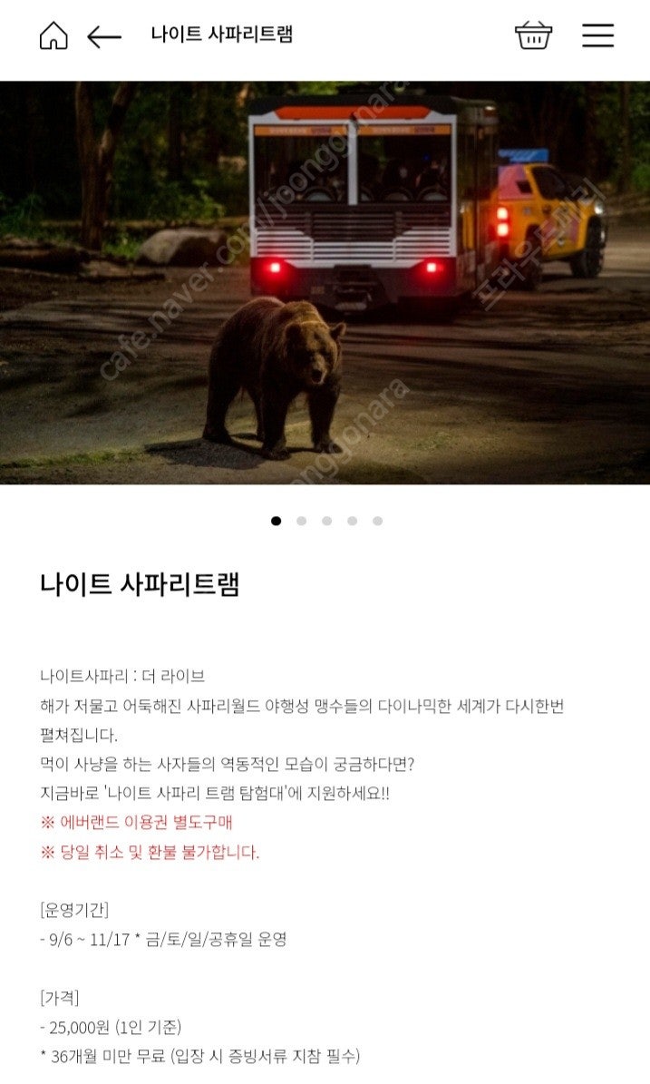 에버랜드 나이트사파리 티켓 구해요--0