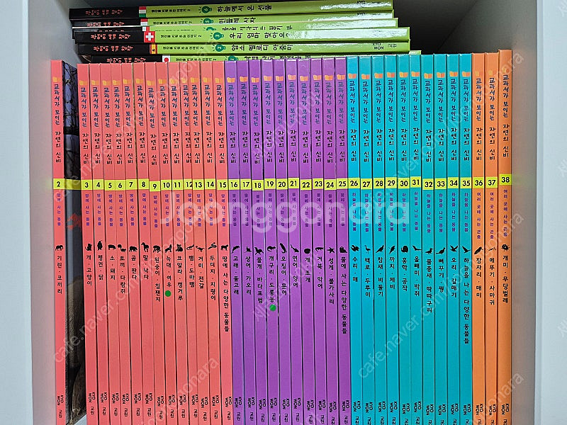 교원 자연의 신비--0