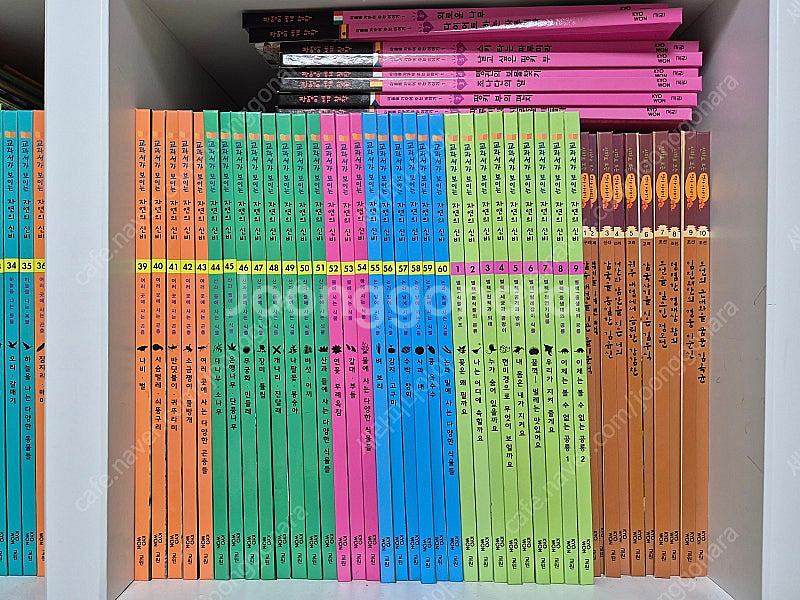 솔루토이 자연의 신비--0