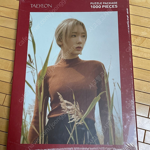 태연 1000피스 퍼즐