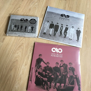 인피니트 한정판 lp