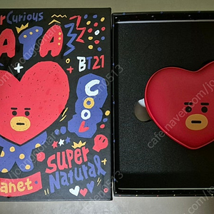 BT21 TATA손난로 보조배터리