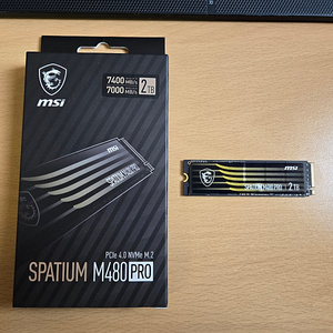 MSI SPATIUM M480 PRO M.2 NVMe 2TB SSD 판매합니다~