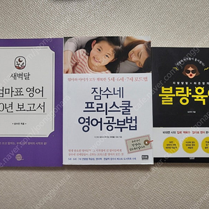 엄마표 영어책 3권(새벽달 잠수네 하은맘)