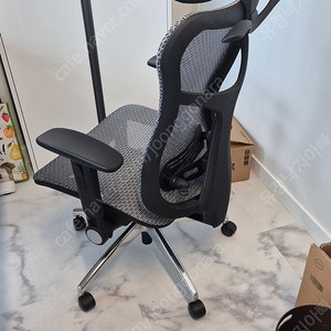 Wavebone 바이킹(Grey) 의자
