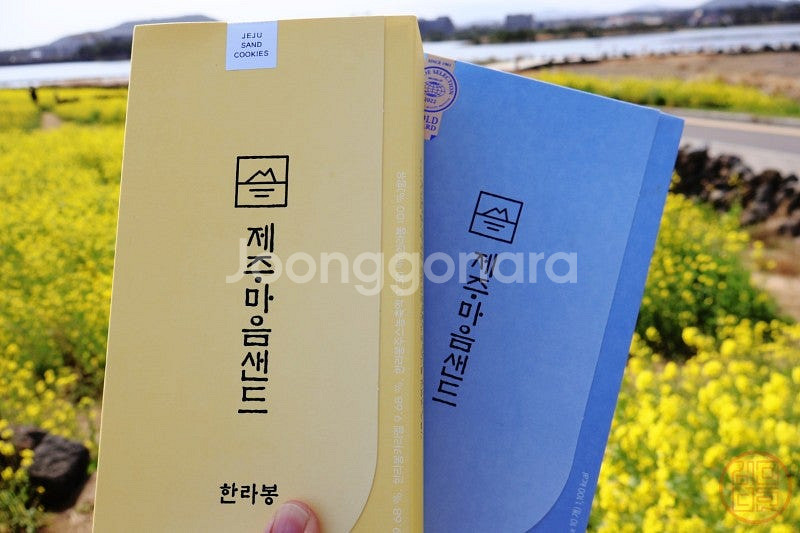제주 마음샌드 (땅콩1+한라봉 1+배송비포함 +당일구매...--0