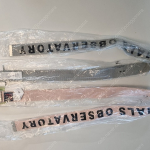 타오 벨트 라지 사이즈 새상품