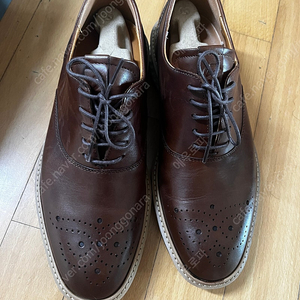 에코 남성 정장화