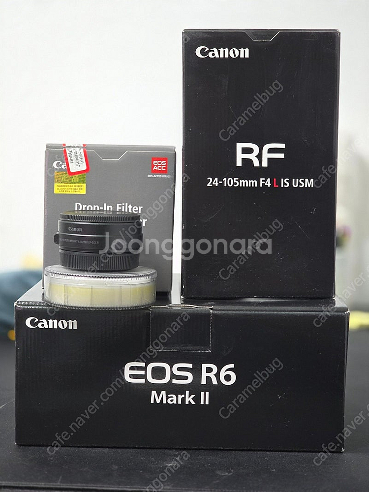 (끌올/가격인하) r6m2, rf 24-105, 드롭인...--4