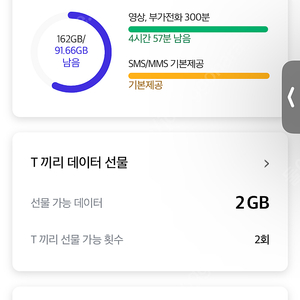 SKT 데이터2기가