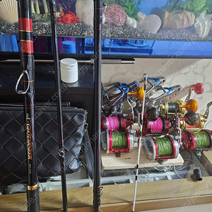 돌돔대 가마가츠 지오타너