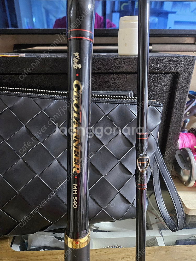 돌돔대 가마가츠 지오타너--3