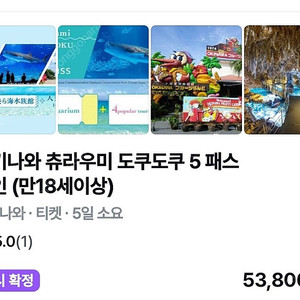 오키나와 츄라우미 여행권 외4굿 도쿠도쿠5패스 양도합니다 일본여행 티켓 입장권
