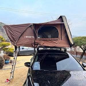 메세타 아지트