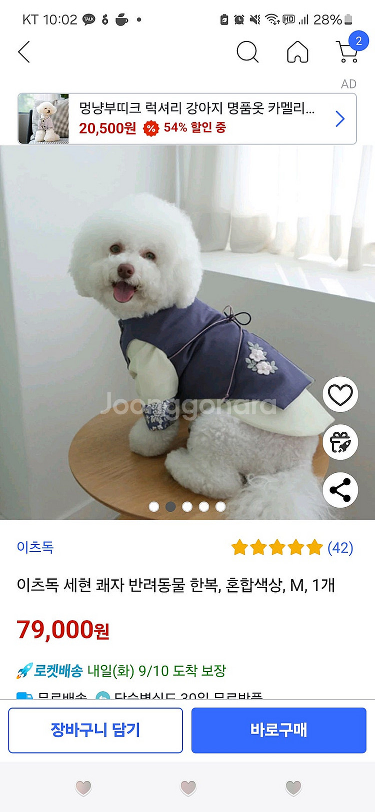 잇츠독 애견 한복 M--4