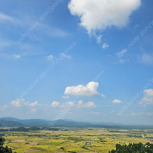 9월15일 광주 기아vs키움 8자리 구해요