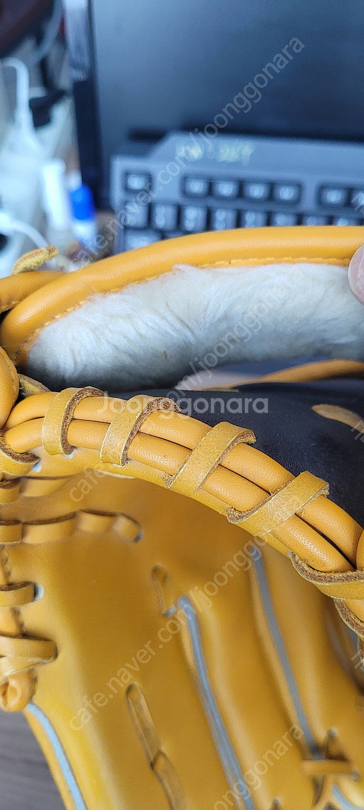 제트 야구글러브 BPGT-5527--4