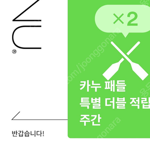 카누패들3개 일괄