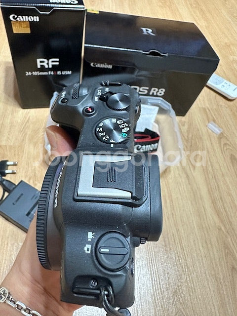 캐논 R8 바디 , RF 24-105 f4 L 렌즈 팝...--2