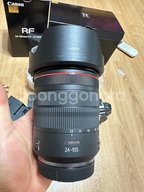 캐논 R8 바디 , RF 24-105 f4 L 렌즈 팝...--3