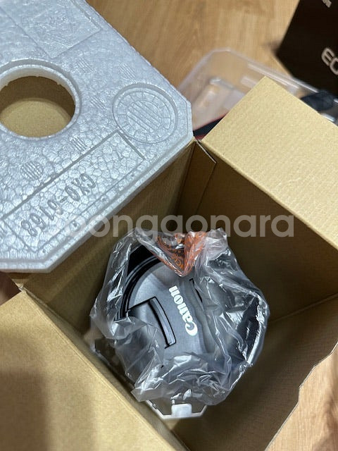 캐논 R8 바디 , RF 24-105 f4 L 렌즈 팝...--7