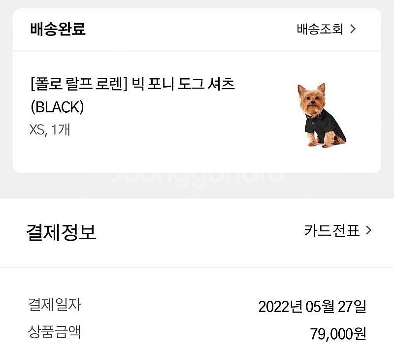 무료배송)애견 폴로 빅포니 블랙 셔츠 xs사이즈--9