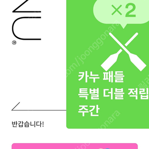 카누 패들 2개 일괄 팝니다