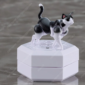 치토세리움 나이트메어 타니오 tanio schrödinger box 고양이 판매합니다.