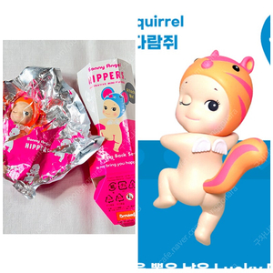 소니엔젤 히퍼 루킹백 시크릿 다람쥐