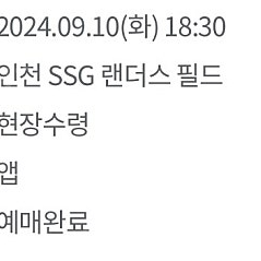 9/10 한화vsSSG 내야일반석 단석