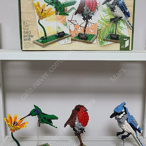 레고 21301 새 Birds