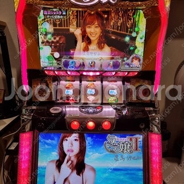 슬롯머신 파칭코 빠핑코 성인오락기 실기 평택 직거래 러...--6