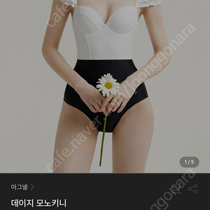 아그넬 데이지 모노키니 수영복