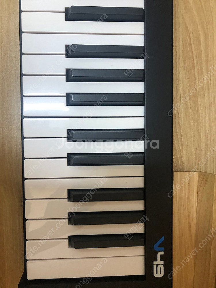 알레시스 Alesis 마스터 건반 v49--0