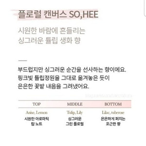 온호프 소희 So, Hee 핸드크림+바디미스트 선물세트 올리브영