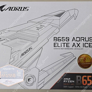 b650 aorus elite ax ice