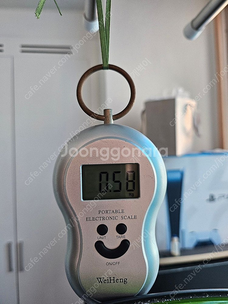 파스포츠 카제 웨이브 경량 디스크 휠셋--3