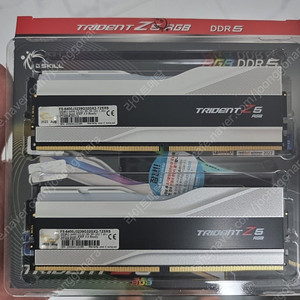 G.SKILL TRIDENT Z5 6400 CL32 64GB 실버 (하이닉스 A다이)