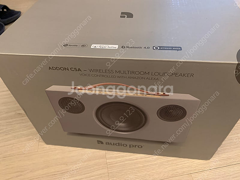 Audio Pro 오디오프로 C5A--2