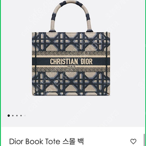 [새상품] 디올 북 토트 스몰 백 (DIOR BOOK TOTE)