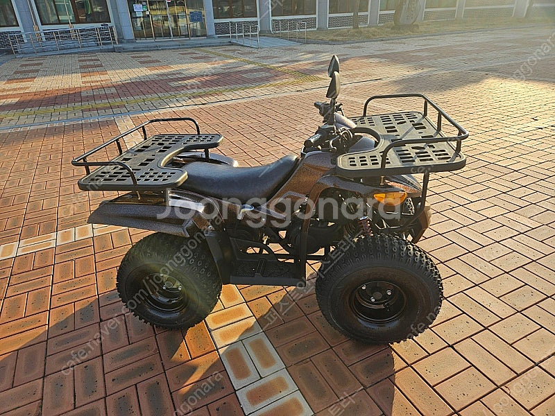 대림올코트100 사발이 ATV--4