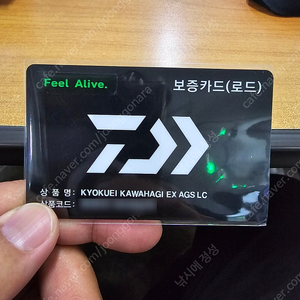 가와하기 LC,다이와 쿄쿠에이 타코이카 EX AGS 165MH. 보증서