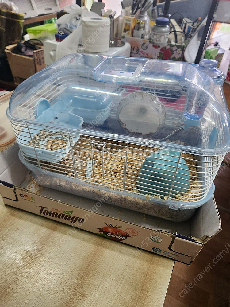 햄스터 용품 하우스 싹다 가져가실분--0